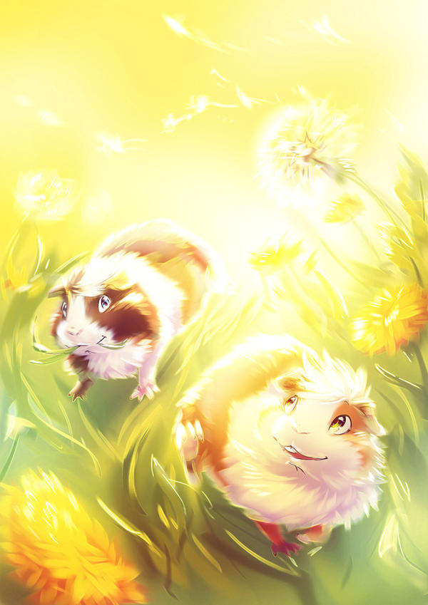 Bobulka and Fazolka by Fany001