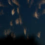 Distorted Fireworks 001