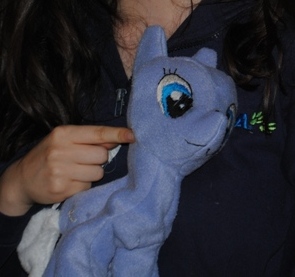 CR Pony Plush (Only Picture)