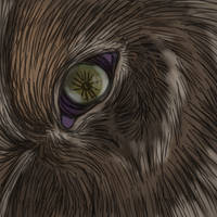 Realistic wolf eye practice