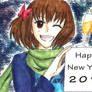 Happy New Year 2013