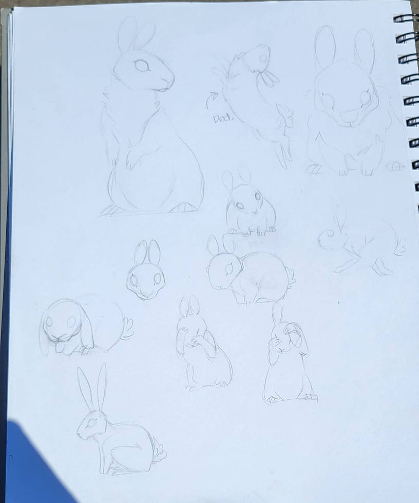 Rabbit sketches 5 by quotingstardust on DeviantArt