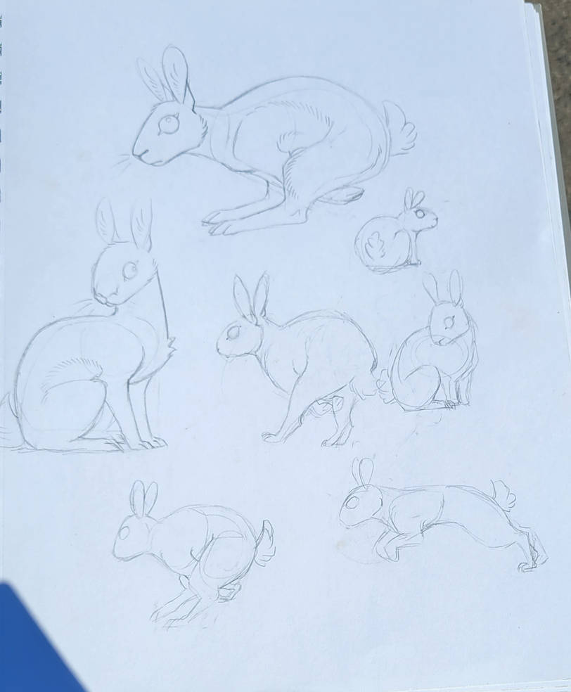 Rabbit sketches 6 by quotingstardust on DeviantArt