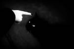 Devil cat by Zim2687