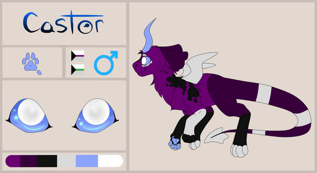 Castor Ref Sheet