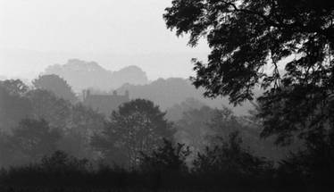 House in the Trees.