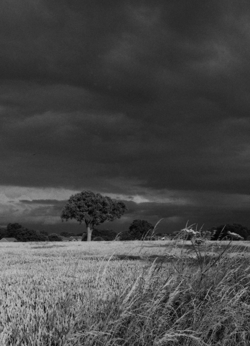 Storm to the south