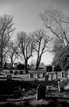 Churchyard and trees