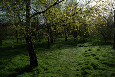 Walk the spring path