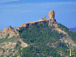 El Roque Nublo, La Rana, El Fraile y El Gallo