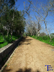 Ciclista por el camino