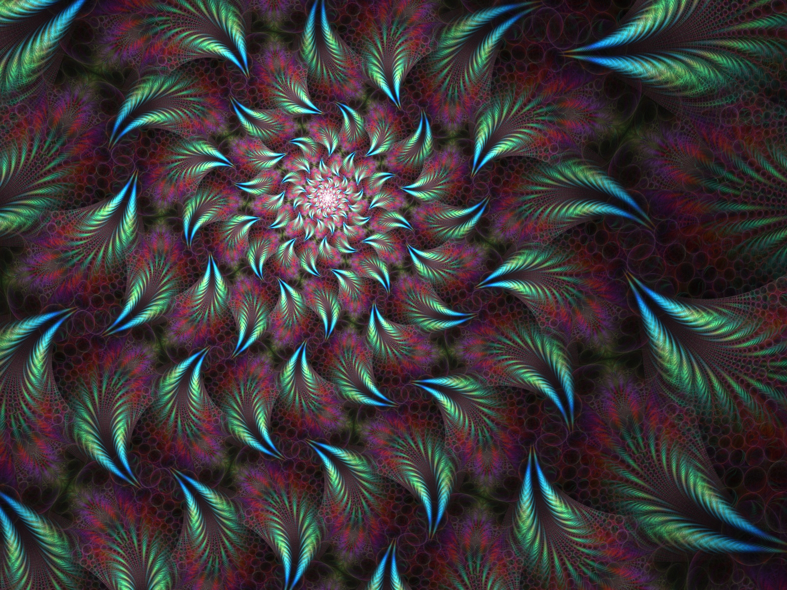 Peacock Spiral