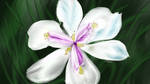 Lovely Petals by newtechwave