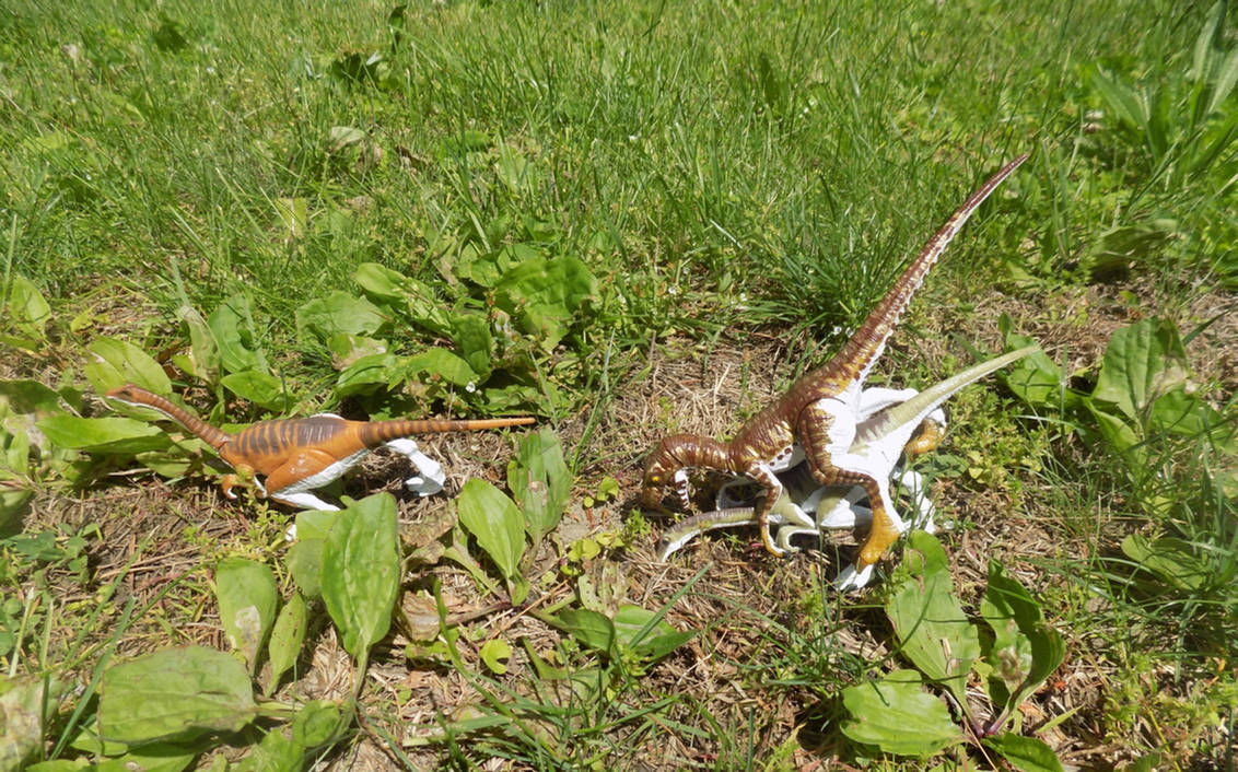 Jurassic World Raptor and Gallimimus by tcr11050 on DeviantArt