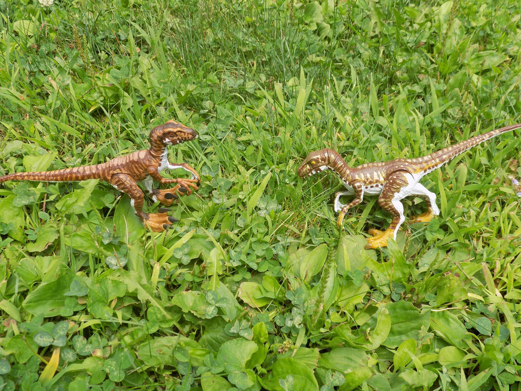 Jurassic Park Big One Raptors 2 by tcr11050 on DeviantArt