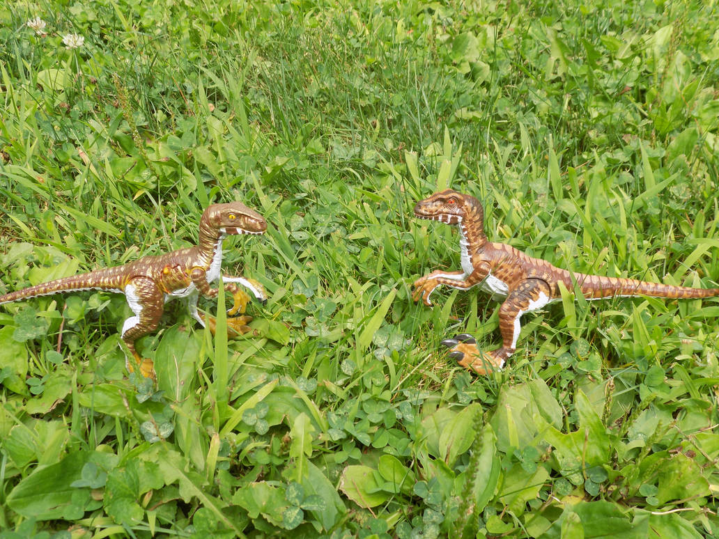 Jurassic Park Big One Raptors by tcr11050 on DeviantArt