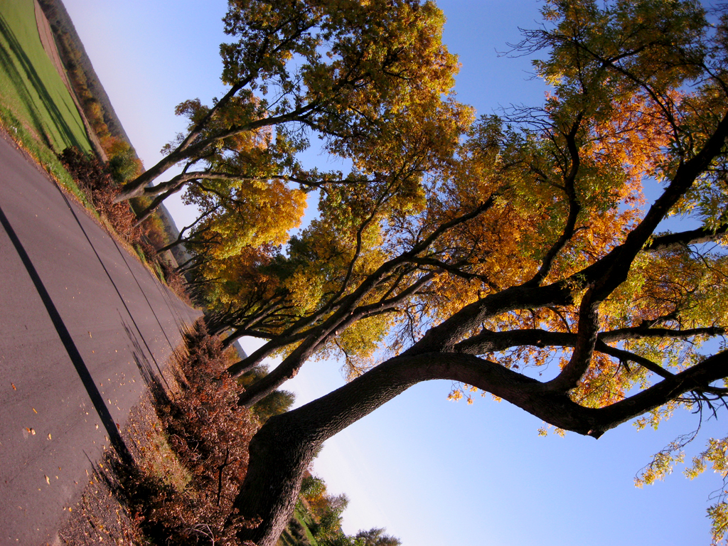 A lonesome road by MikeZK