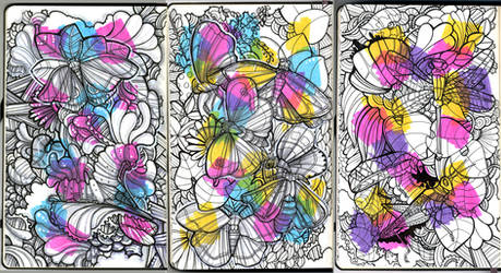 Sketchbook: Lepidoptera