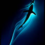 In the depths