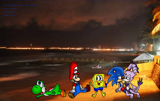 Mario Sonic Sponge Blaze Yoshi at the Beach 4