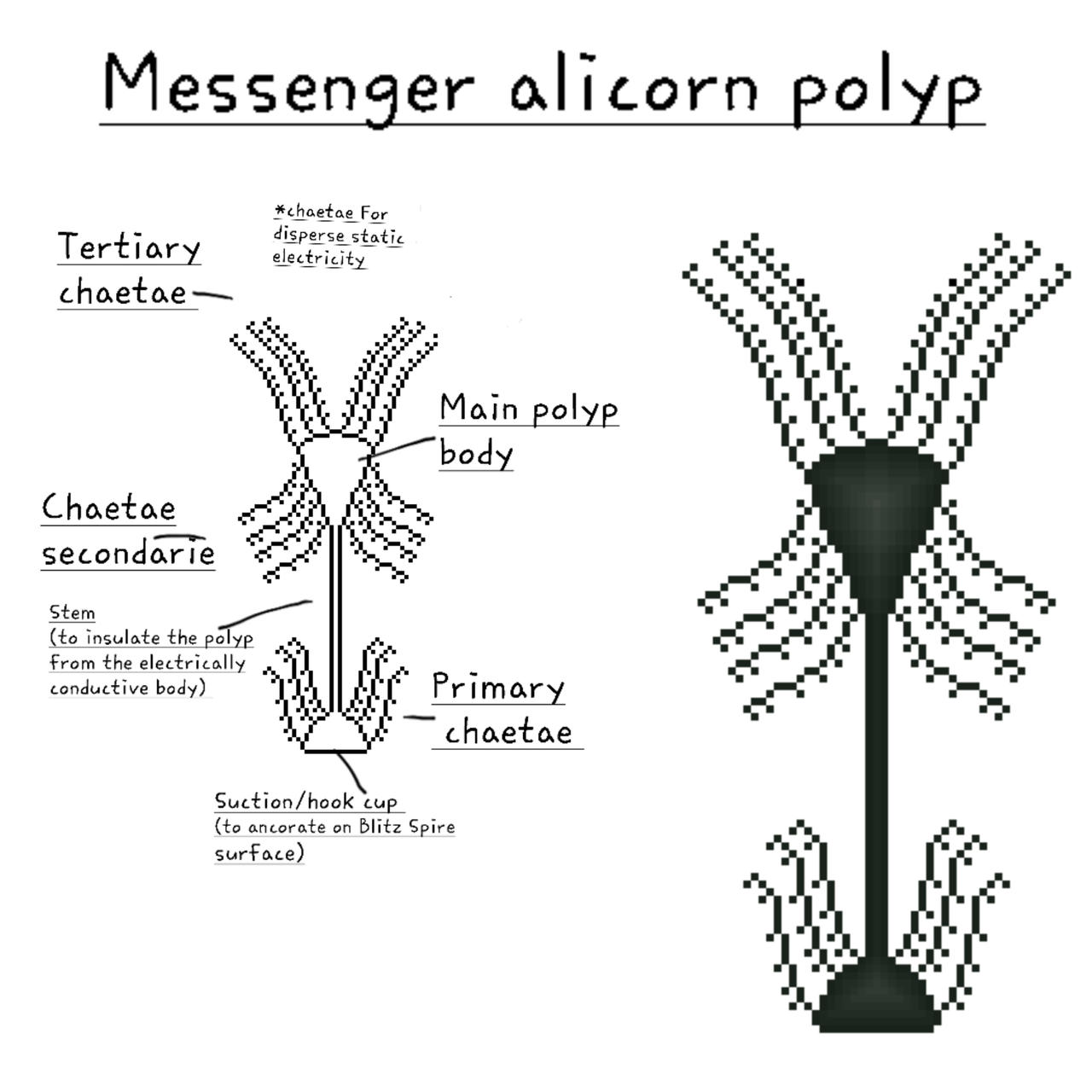 Messenger alicorn polyp by Zarekay56 on DeviantArt