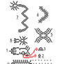 Subtertean creatures of Terra Phoraminifera