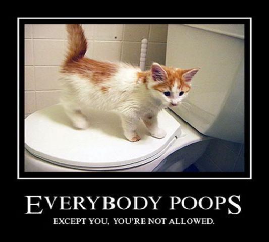 Every body Poops by TriarchMistbane on DeviantArt