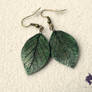 Leaf Earrings