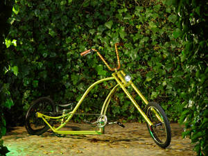 Bike Lowrider Custom clip promo