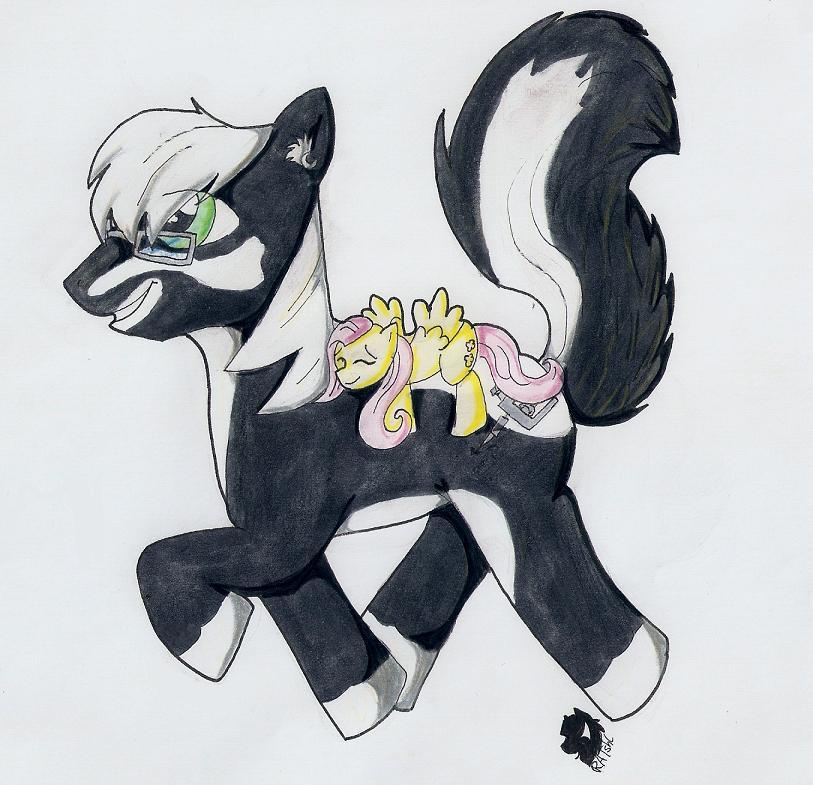 Skunk Pony for Steve