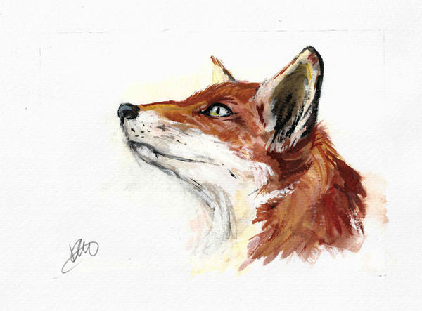Devon Life Watercolor - Foxy  Business