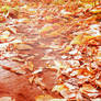 autumn leaves 3