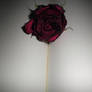 ROSE ~