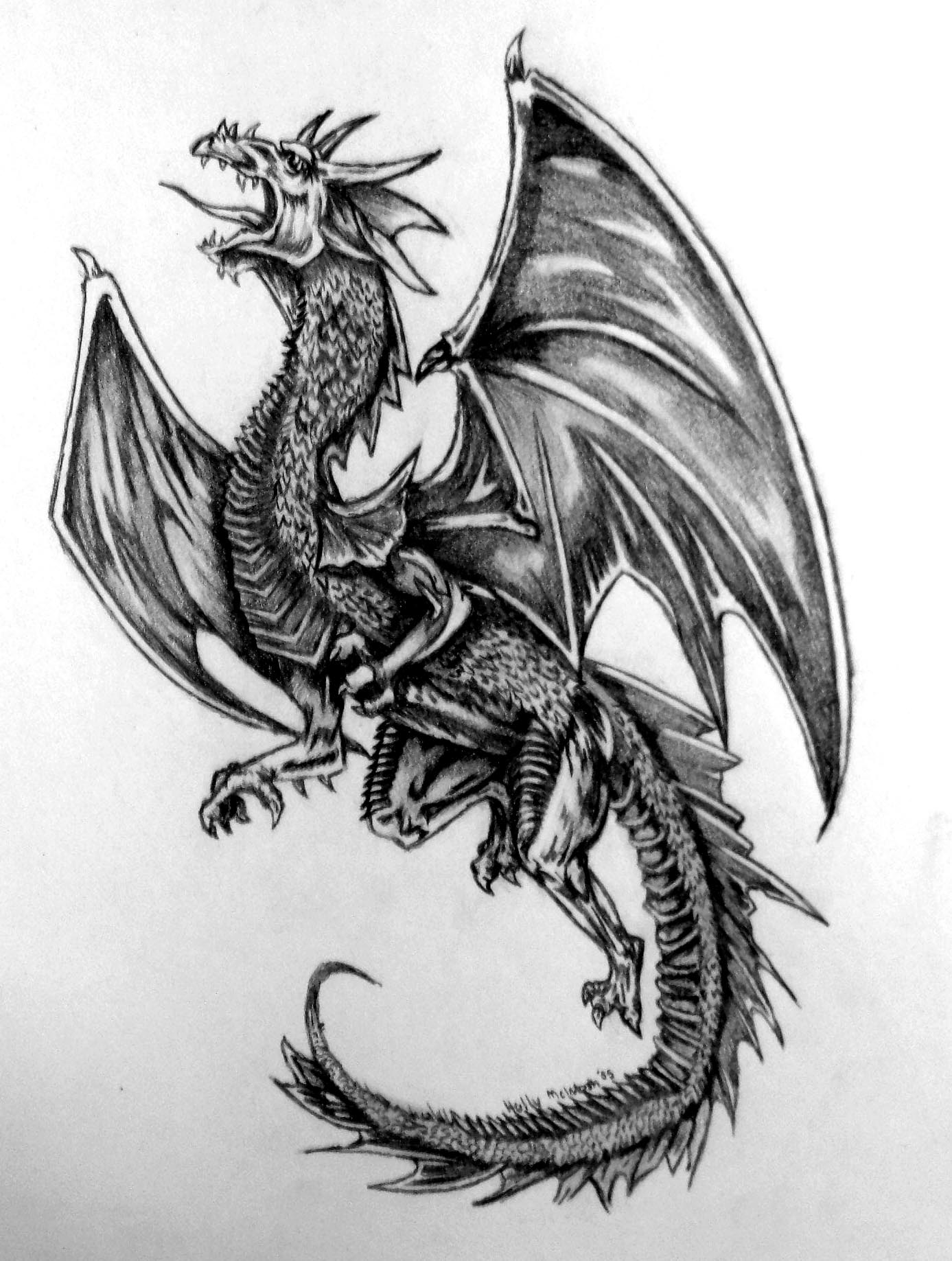 Spirited Dragon