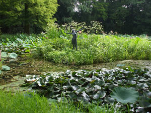 Botanical garden in Szeged