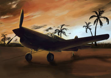 P-40 at dawn