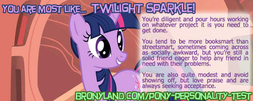 Banner Twilight