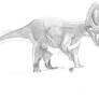 Profile: Utahceratops gettyi