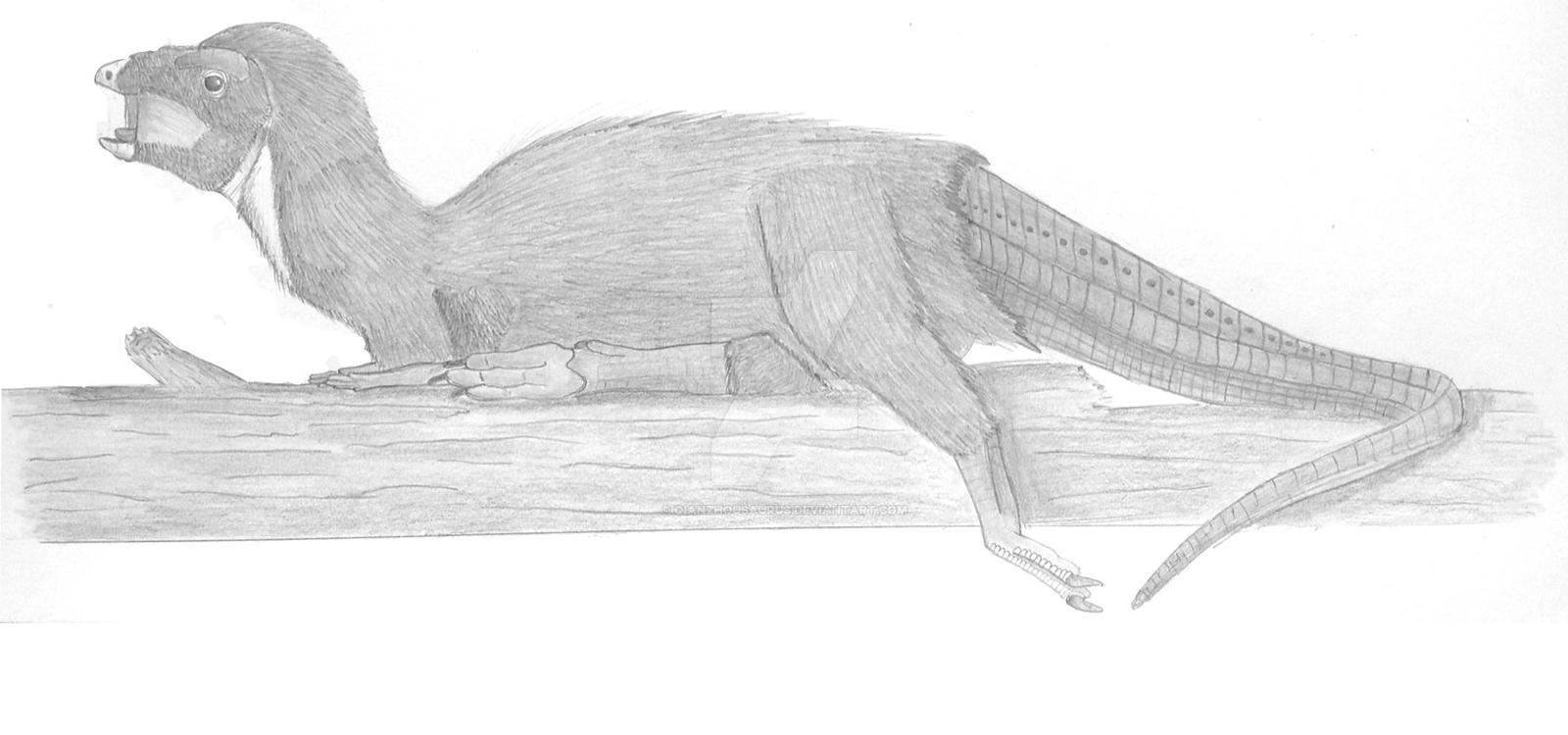 Profile: Kulindadromeus zabaikalicus