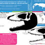 Carcharodontosaurus saharicus skull skeletal