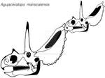 Agujaceratops mariscalensis skull