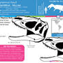 Yutyrannus hauli skull skeletal