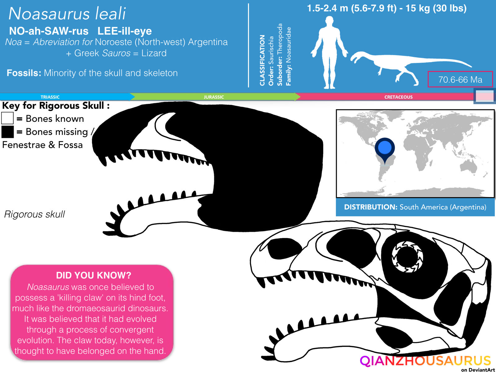 Noasaurus Noasaurus leali skull skeletal by Qianzhousaurus on DeviantArt