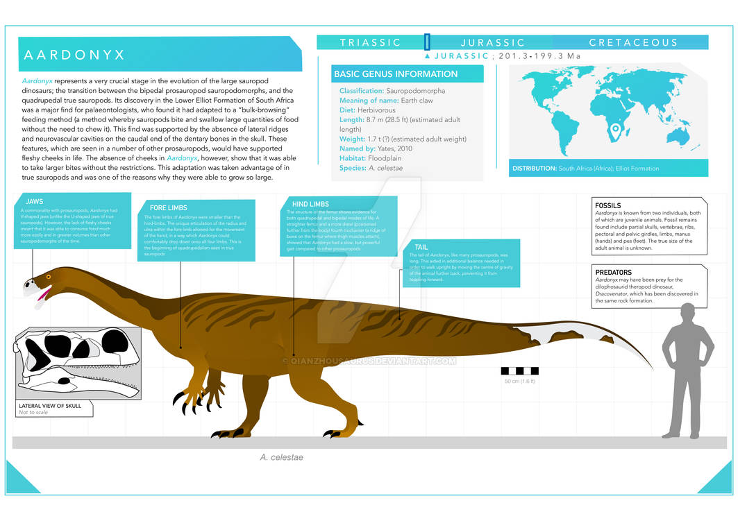 Aardonyx Infographic