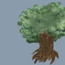 SKETCH A TREE