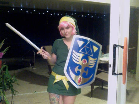 A Link To The Past Cosplay