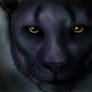 PantherFace