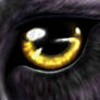 Panther Eye