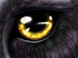 Panther Eye