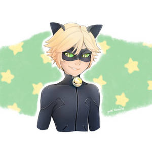 Chat Noir